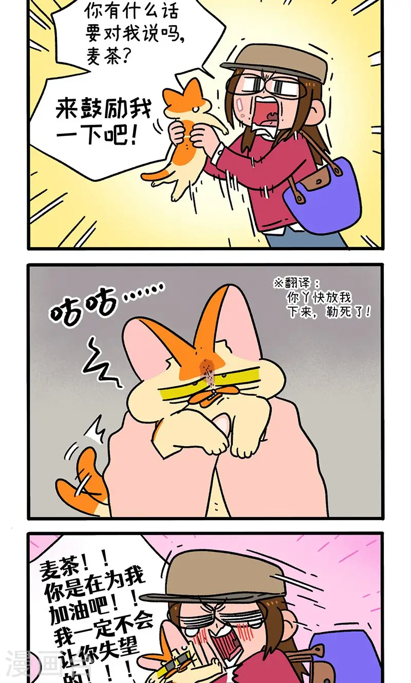 第146话1 面试1