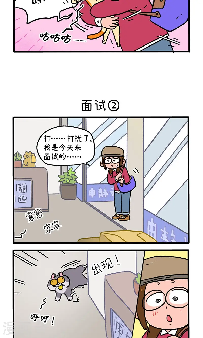 第146话1 面试2