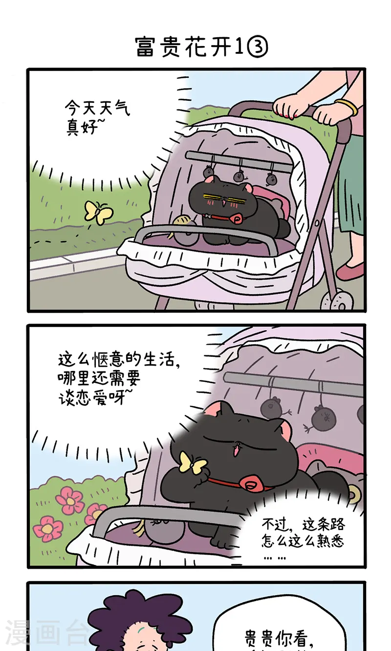 番外21上 富贵花开14