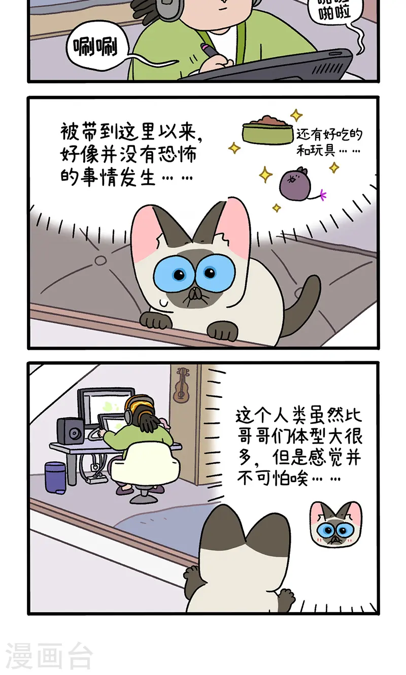 番外16上 默默的新生活23