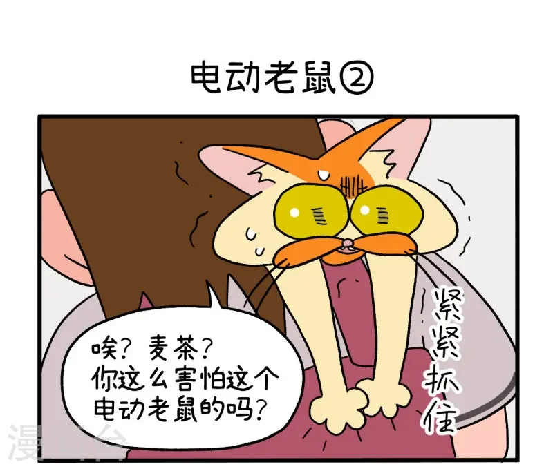 第25话 电动老鼠4