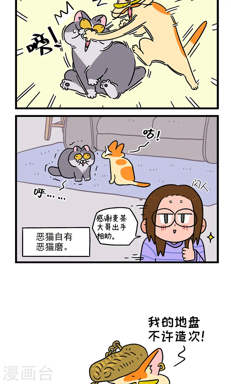 第89话2 阿狗初来乍到5