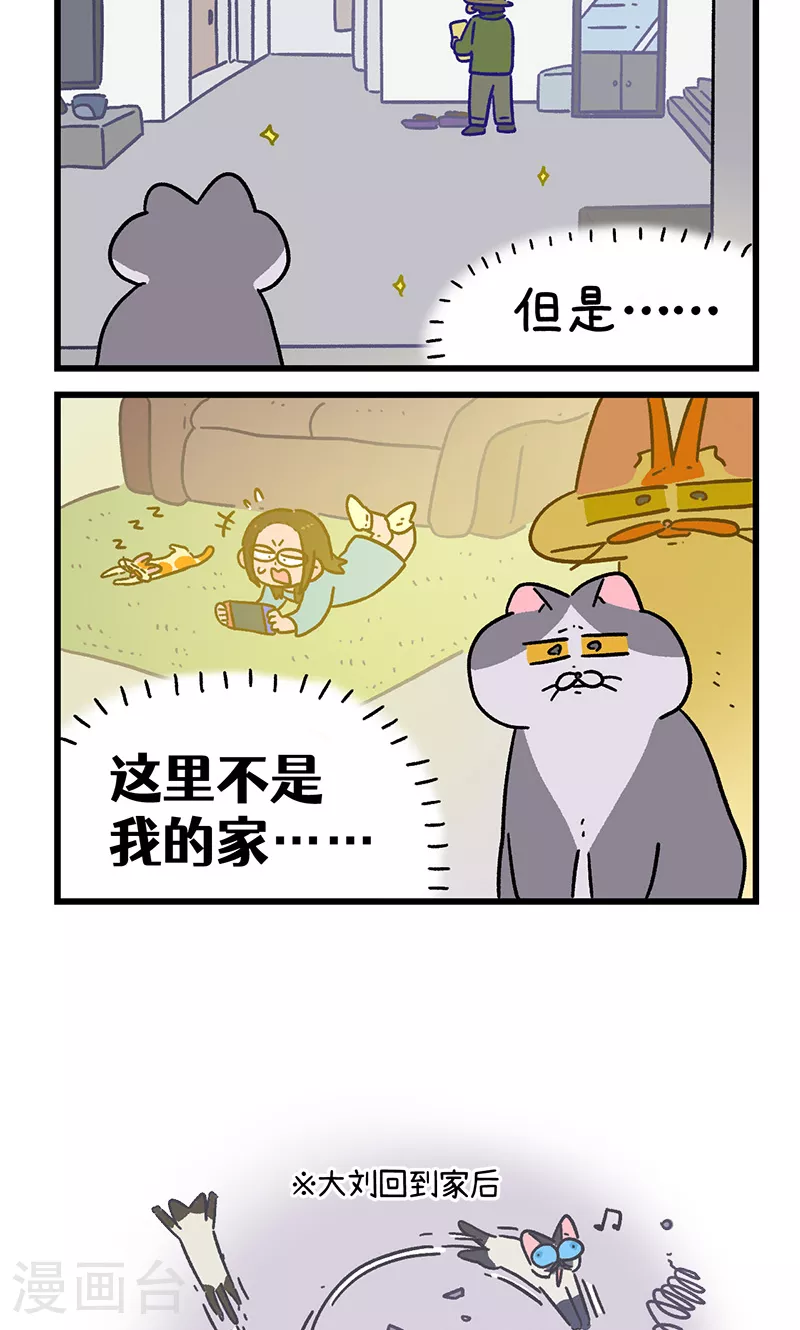 第154话2 如果交换身体的话55