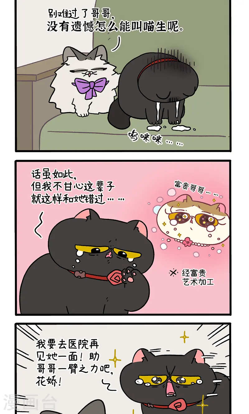 番外22下 富贵花开21
