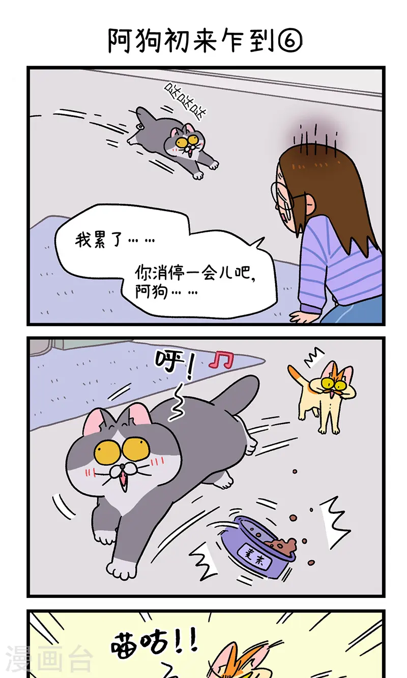 第89话2 阿狗初来乍到4