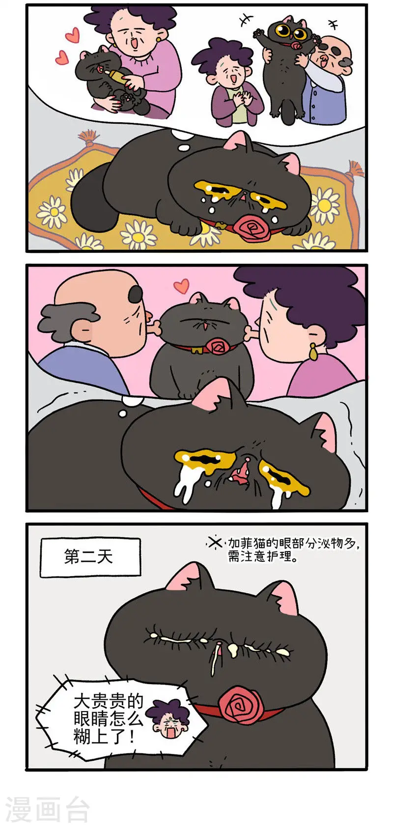 第16话2 住院的理由1
