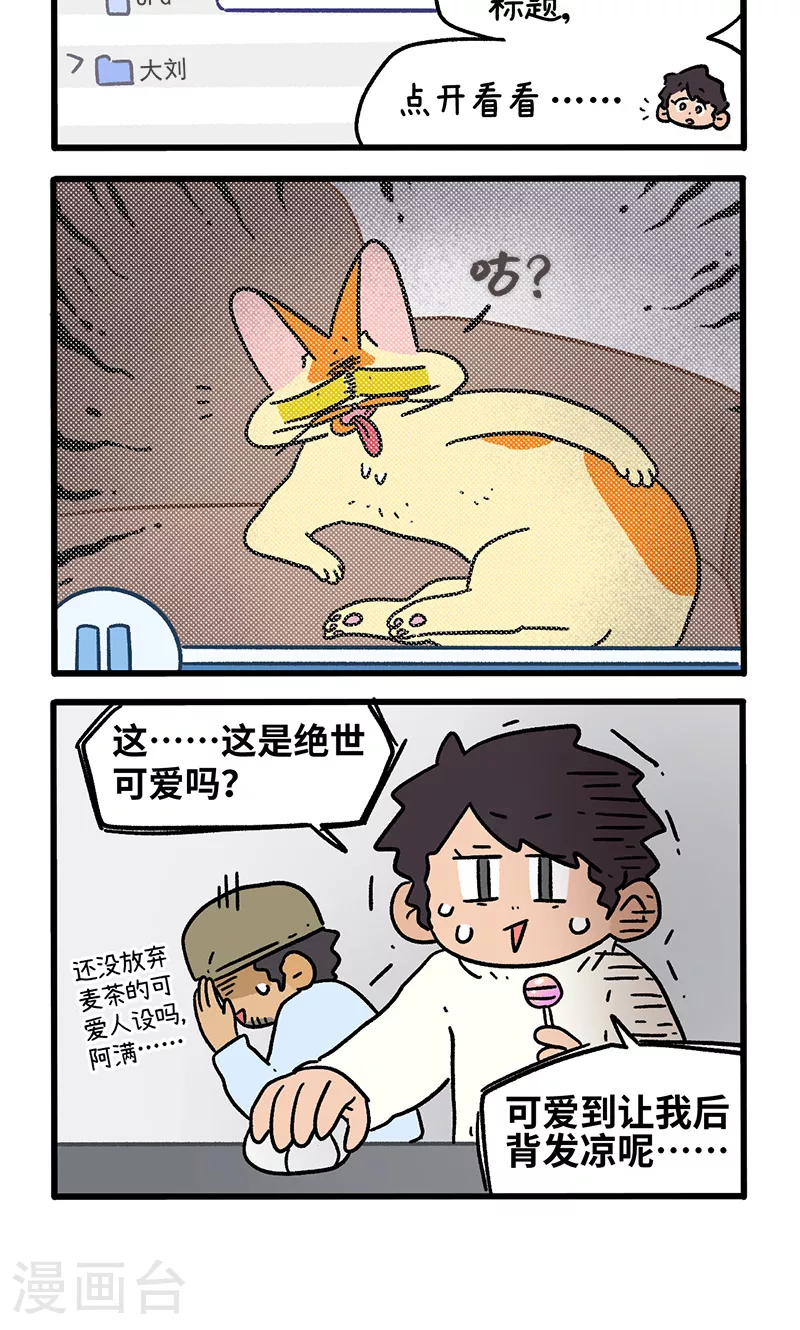 第156话1 猫晶晶的春日企划13