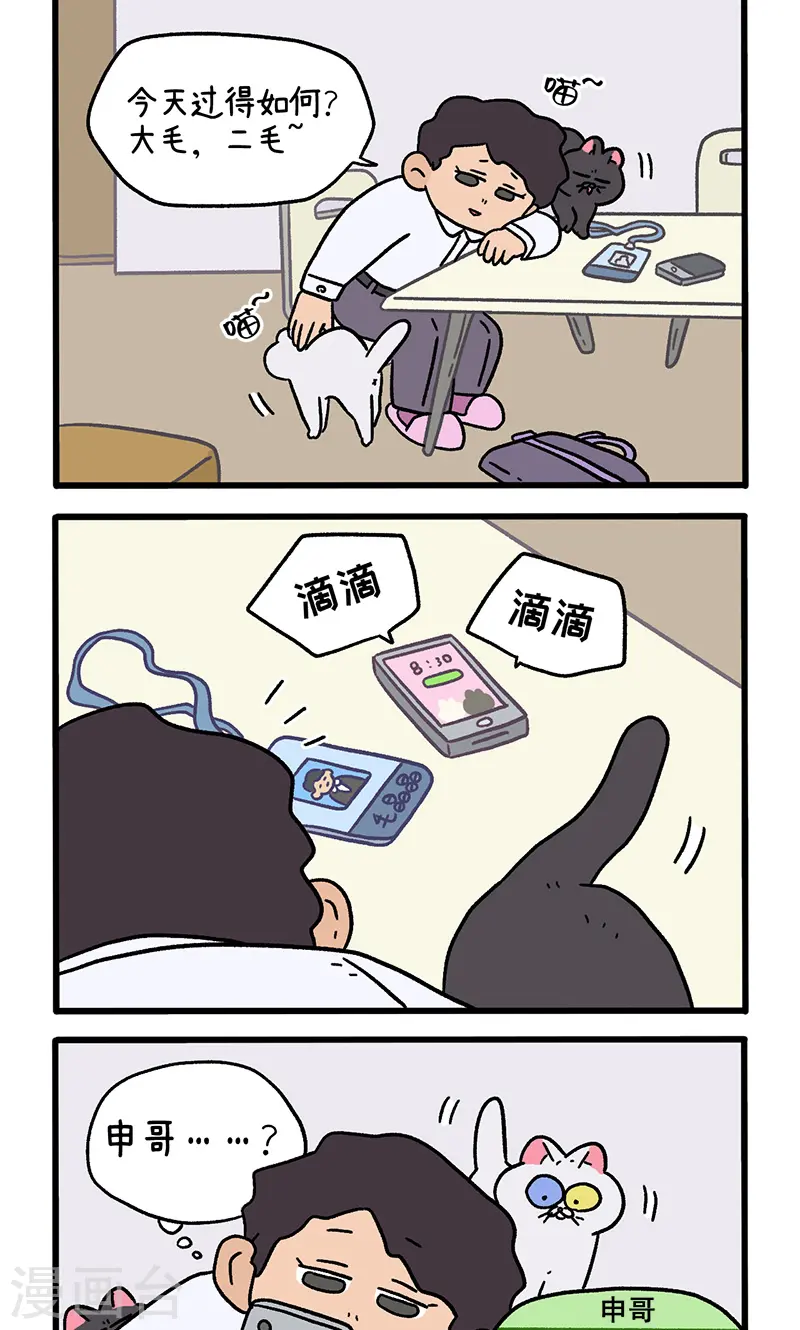 第117话1 猫晶晶疑云111
