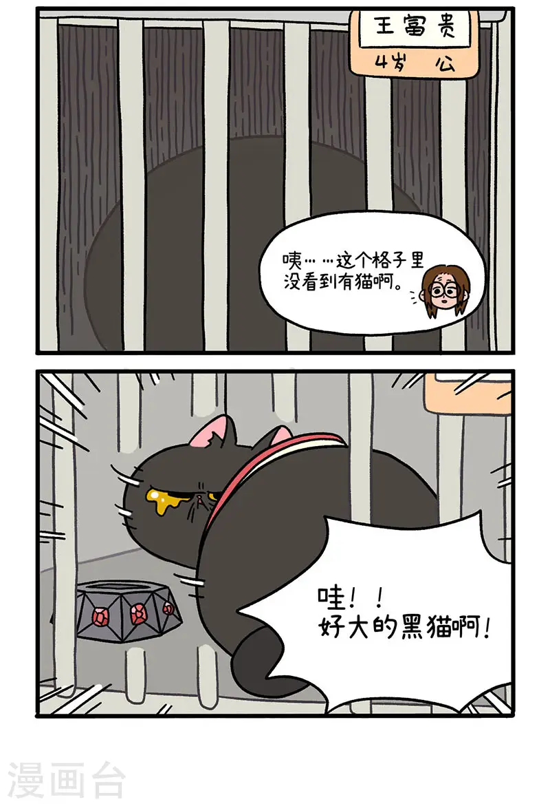 第14话 住院部的加菲猫1