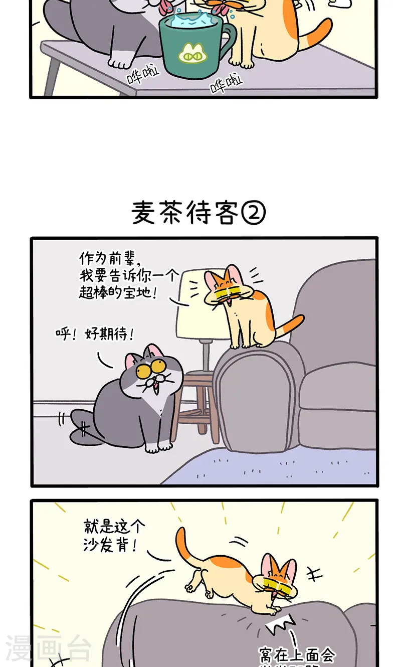 第90话 麦茶待客2
