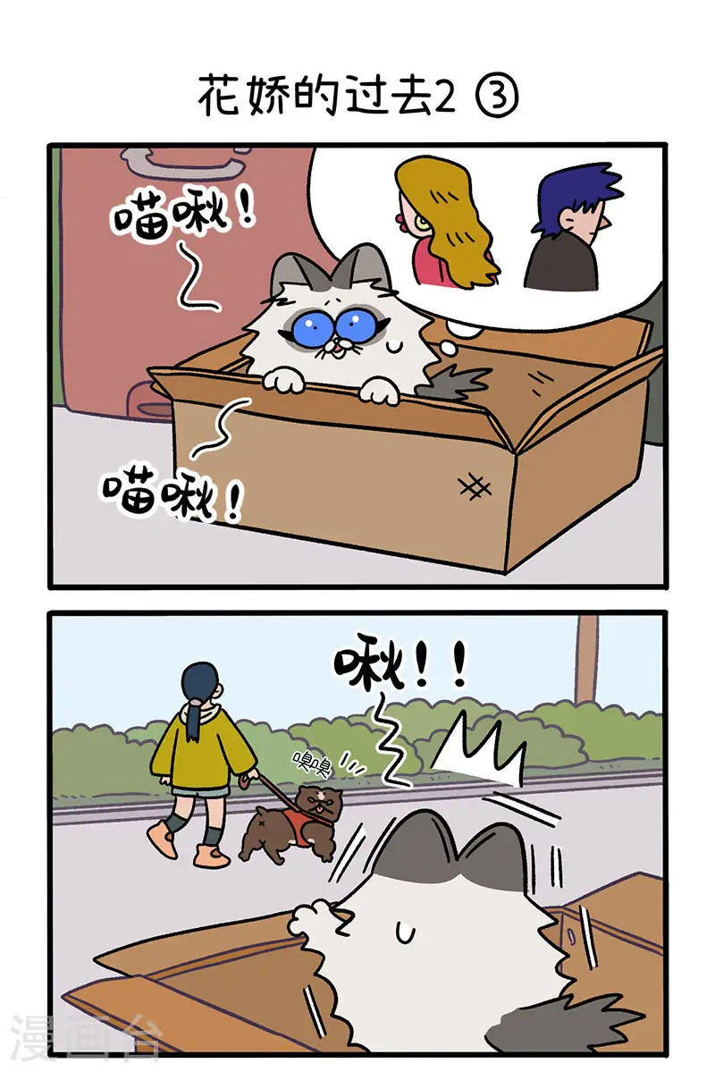 第48话1 花娇的过去4