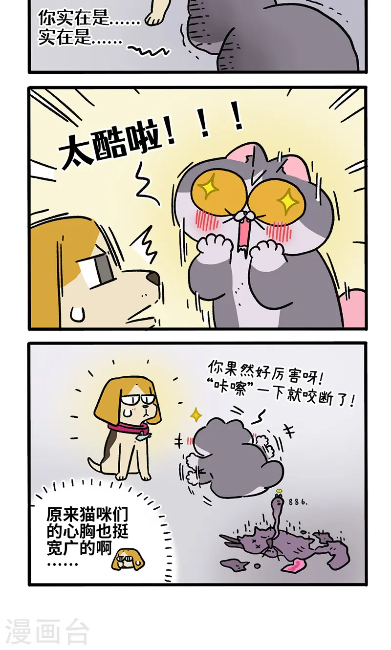 第128话2 关于猫狗是怎么相识的3