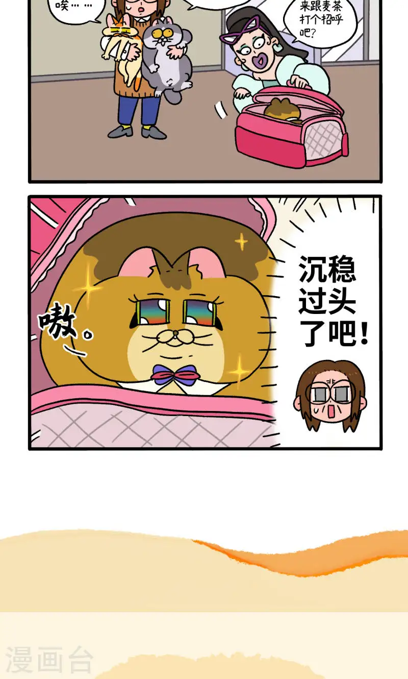 第81话1 帅哥悟了15