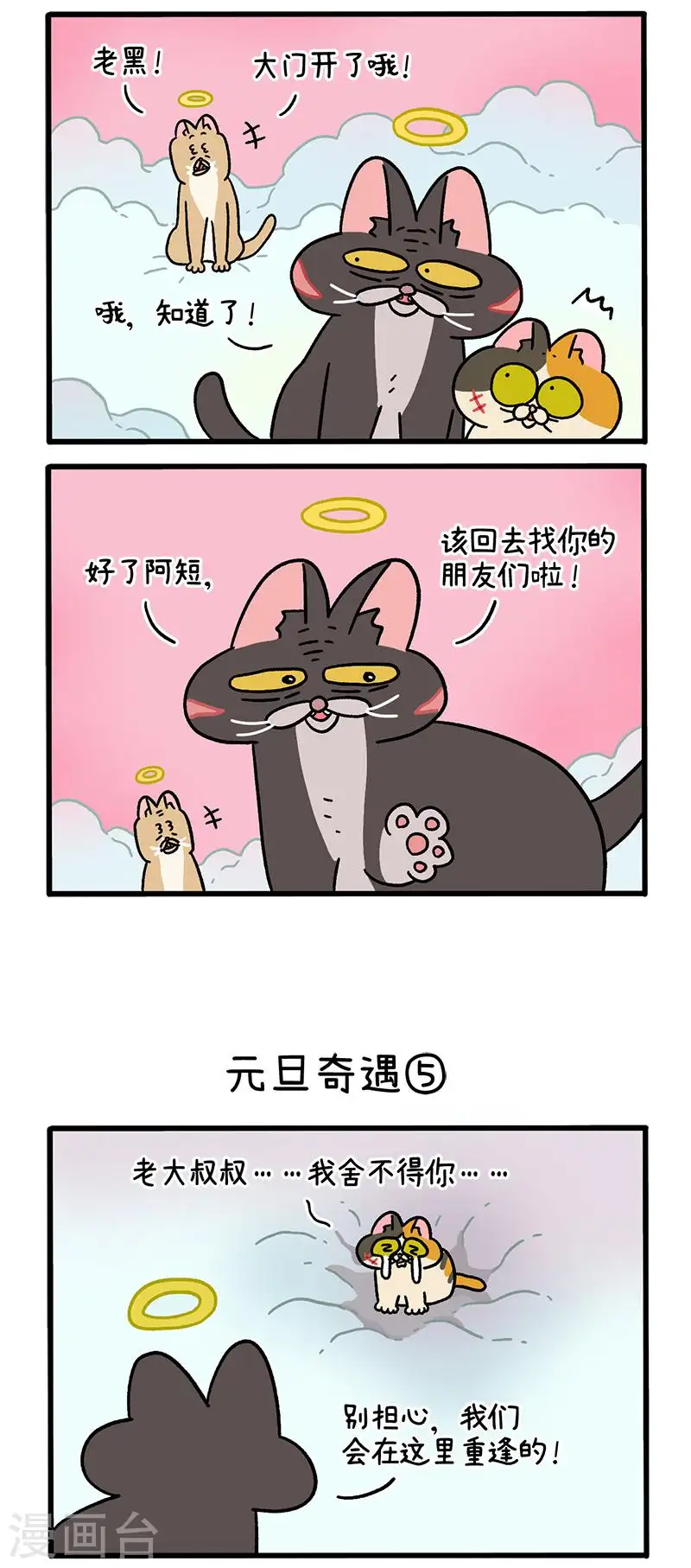 番外13下 元旦奇遇1