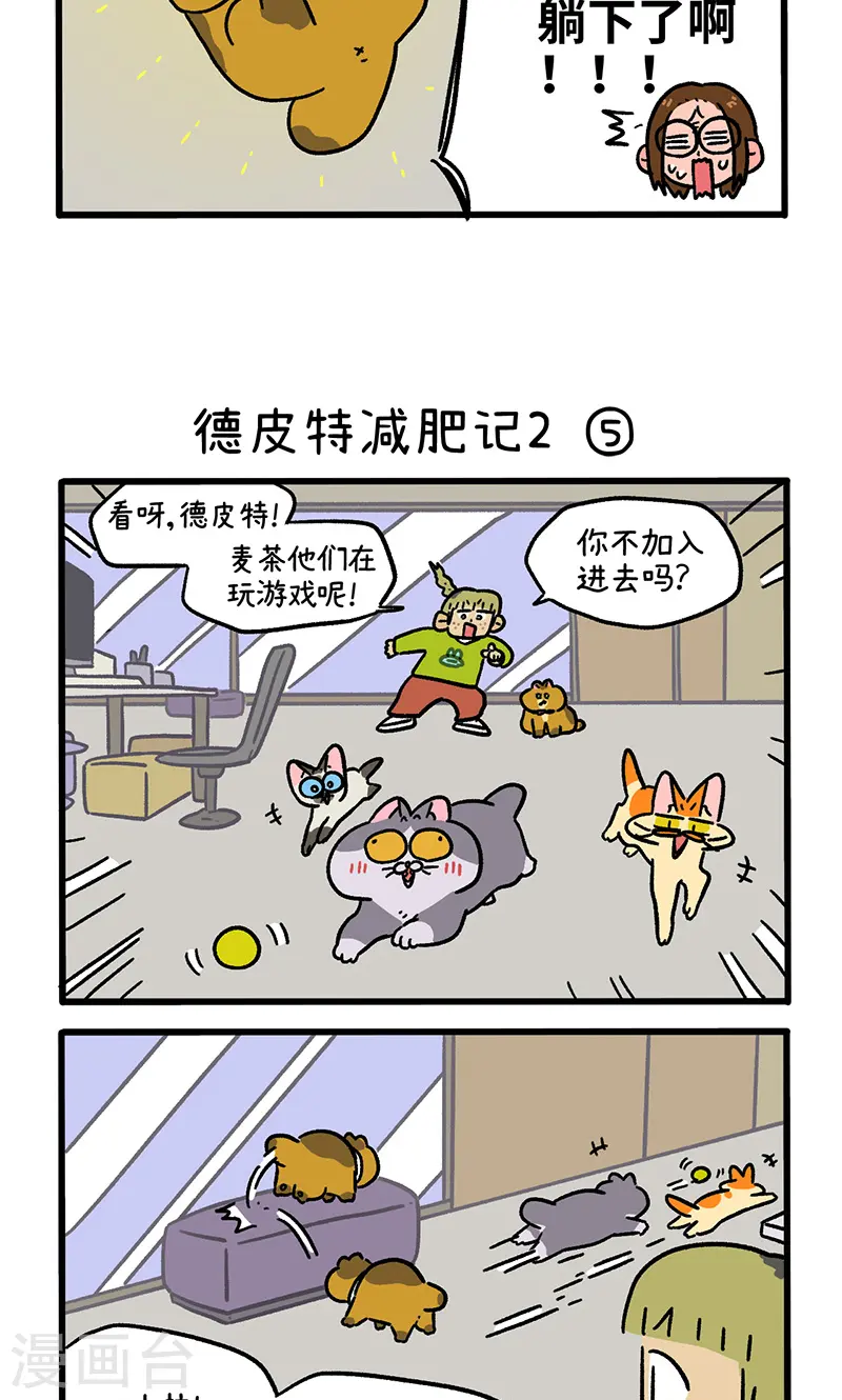 第133话2 德皮特减肥记22