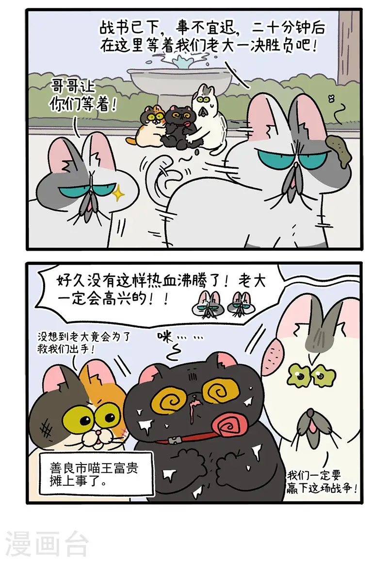第41话 收到战书1