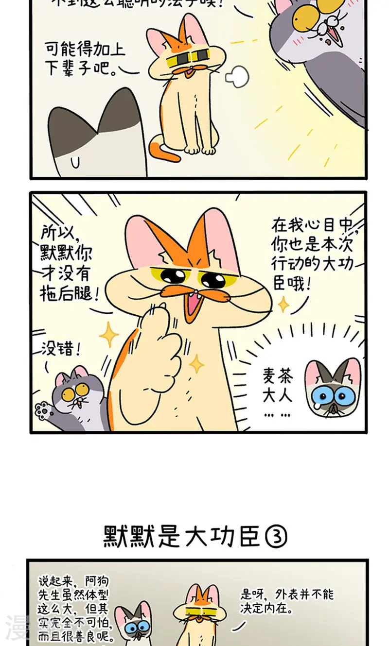 第79话 默默是大功臣3