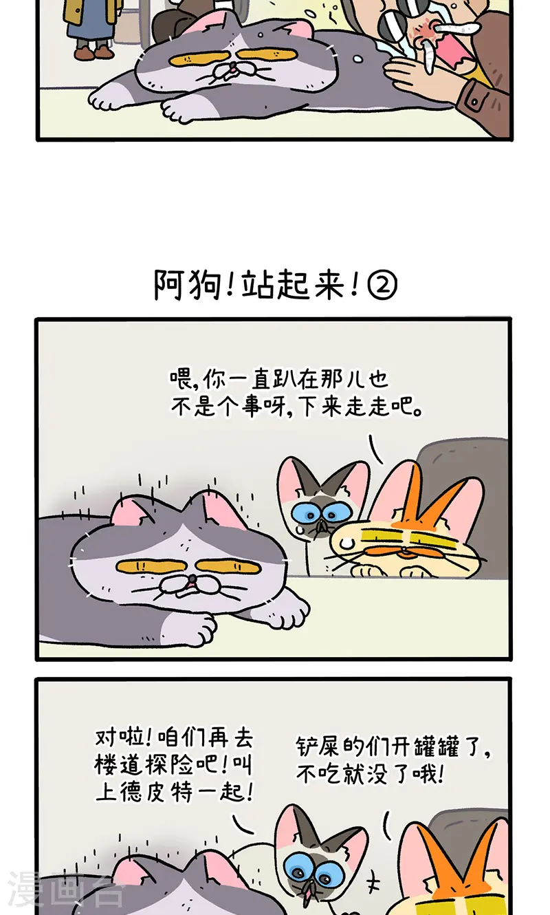 第131话1 阿狗！站起来！2
