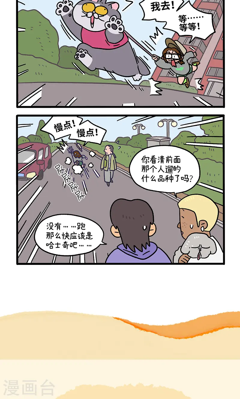 第95话1 遛猫还是遛狗5