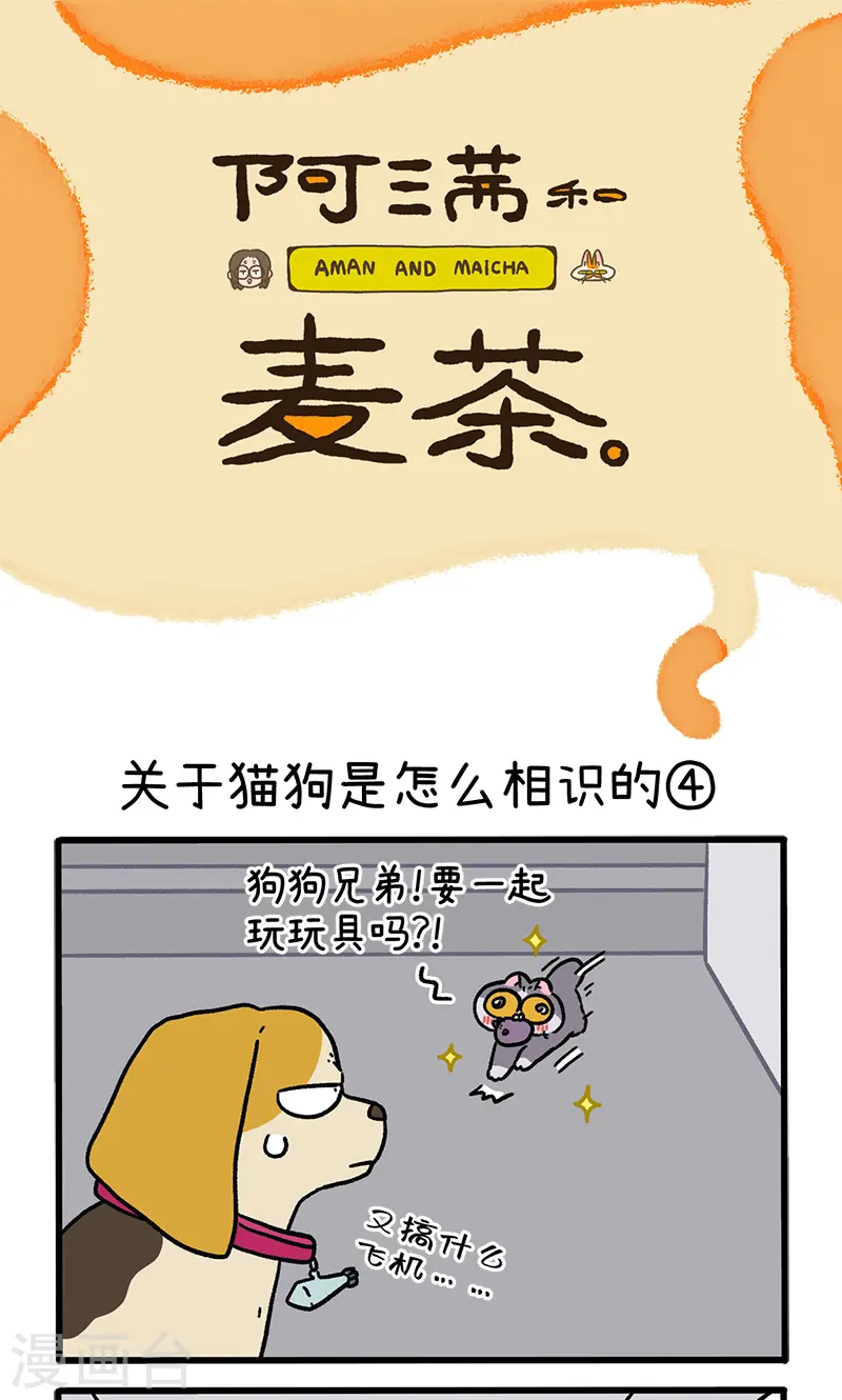 第128话2 关于猫狗是怎么相识的0