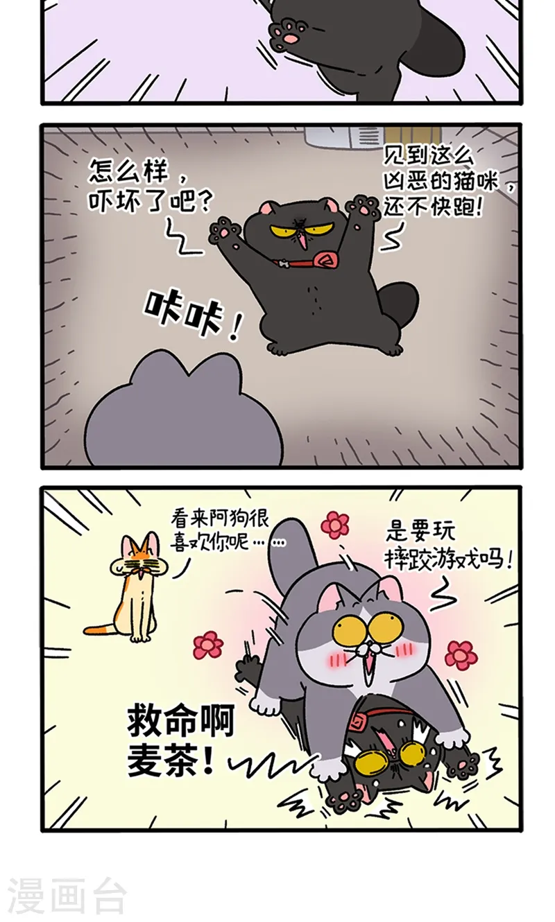 第98话2 当糙汉来敲门3