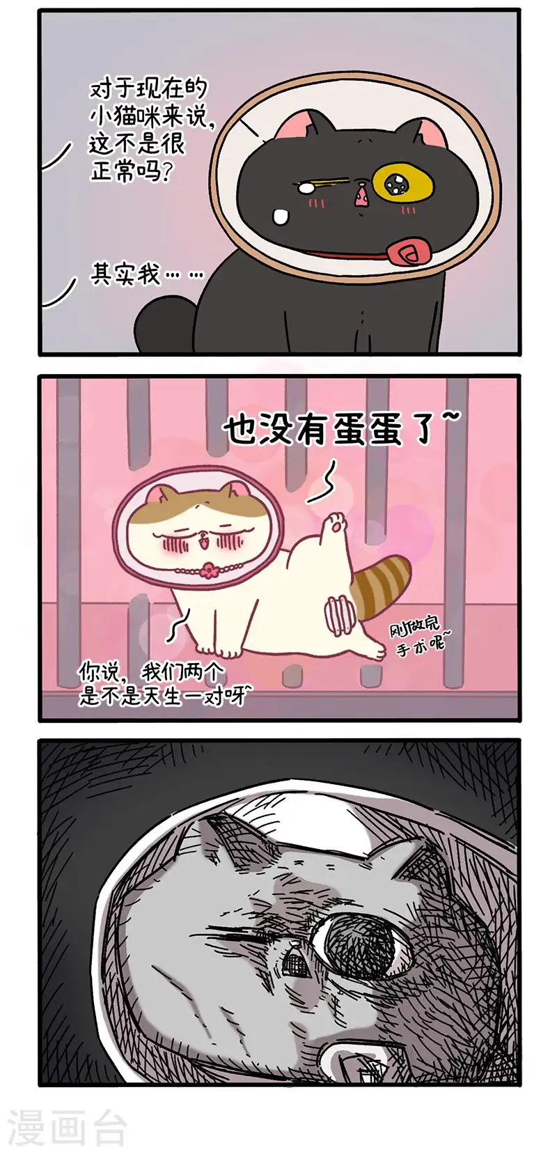 番外24下 富贵花开42