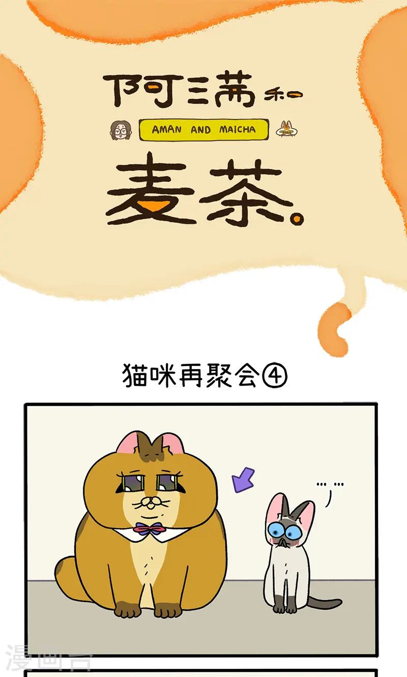 第82话2 猫咪再聚会0