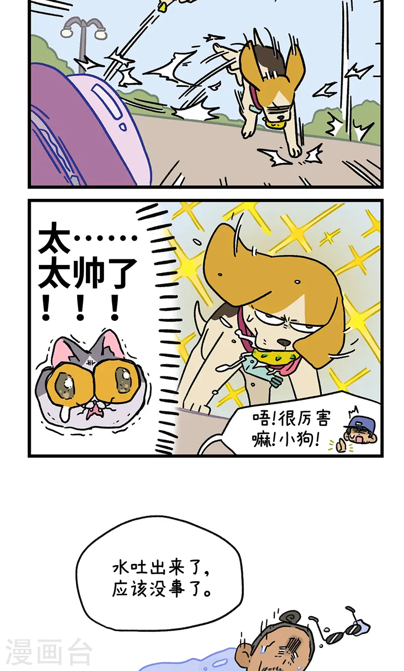 第129话2 关于猫狗是怎么相处的5