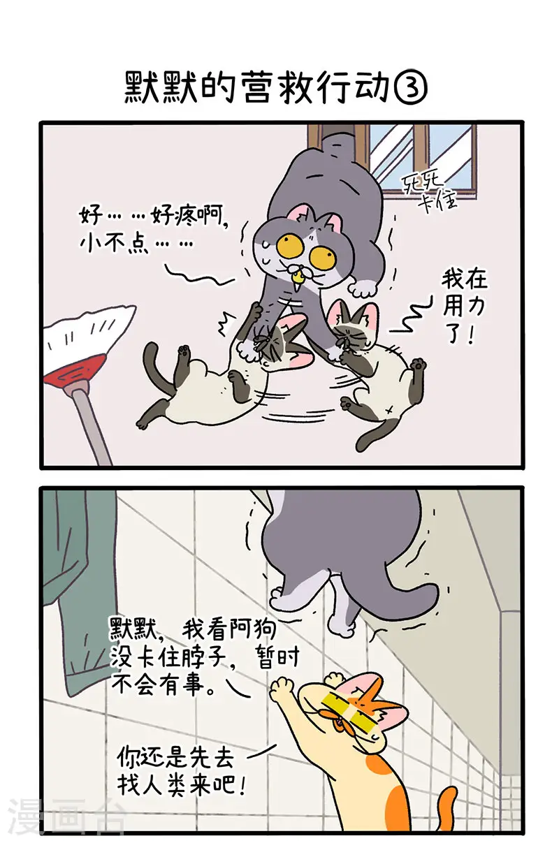 第72话1 默默的营救行动3