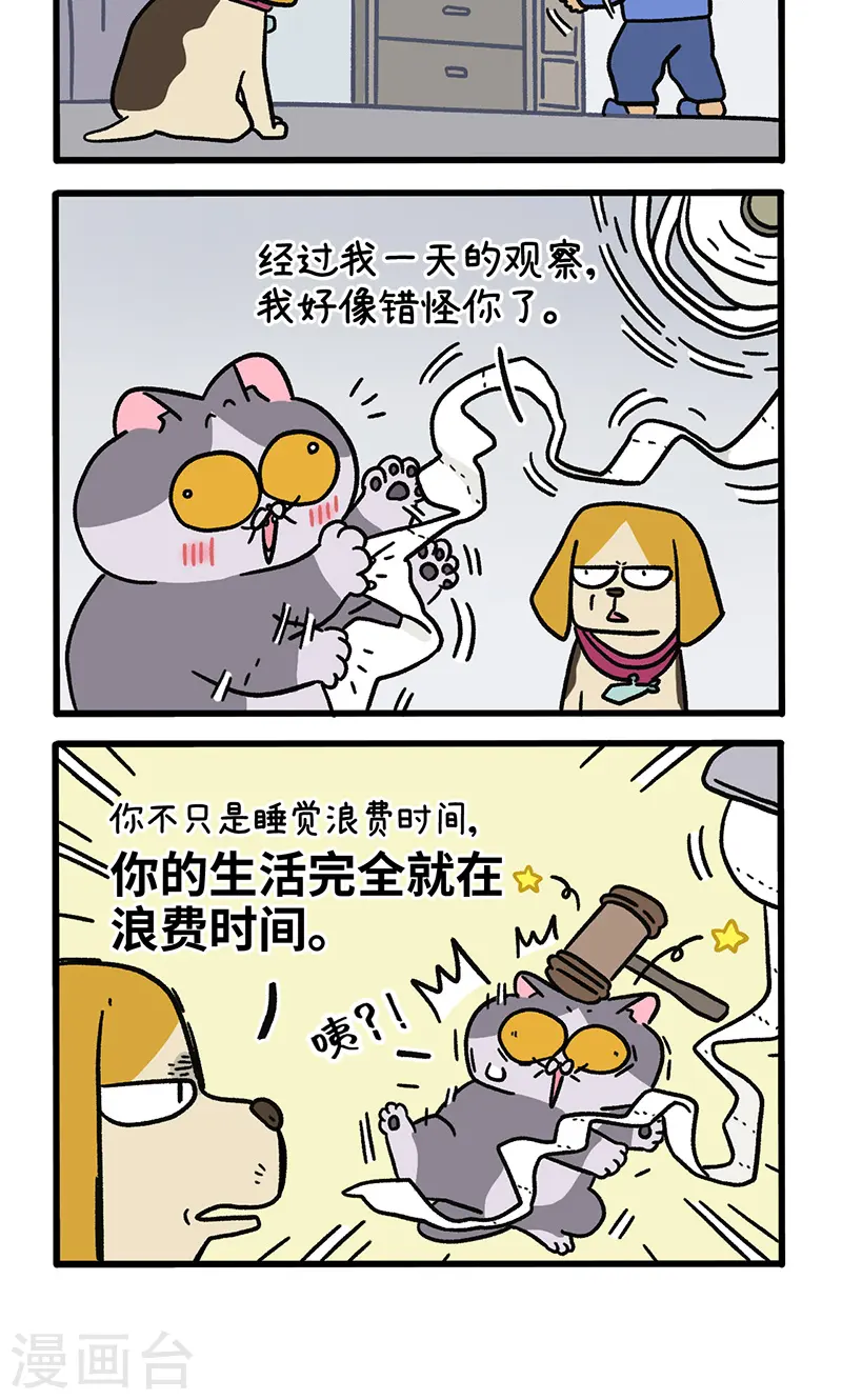 第129话1 关于猫狗是怎么相处的3