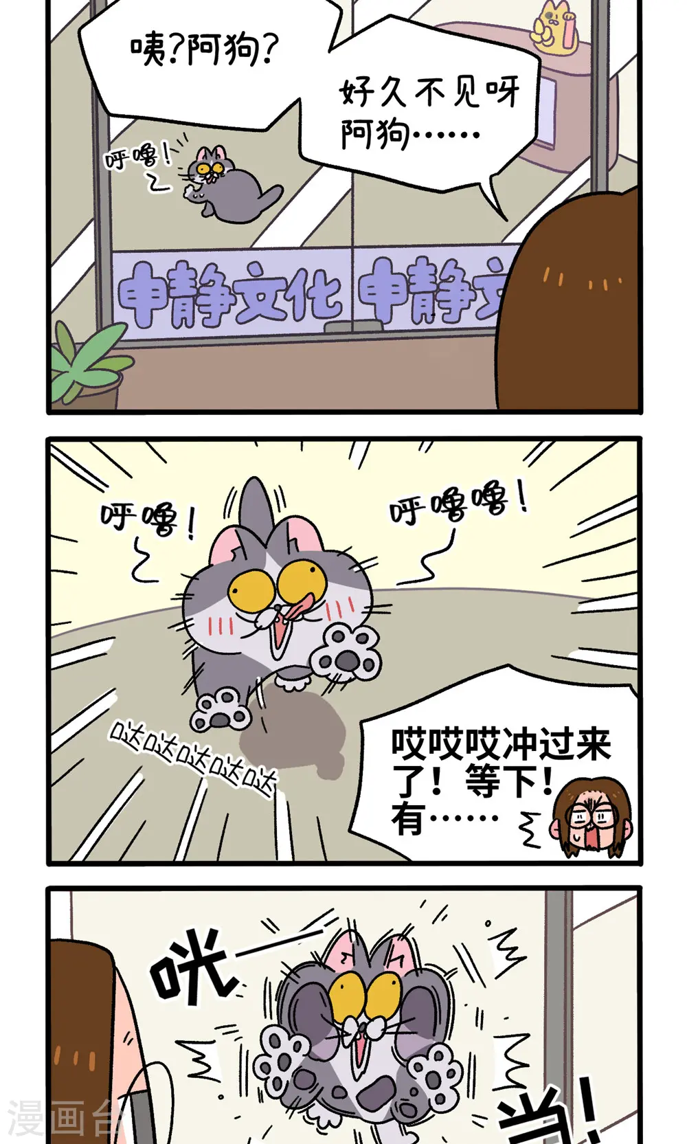 第65话1 公司的猫咪聚会1