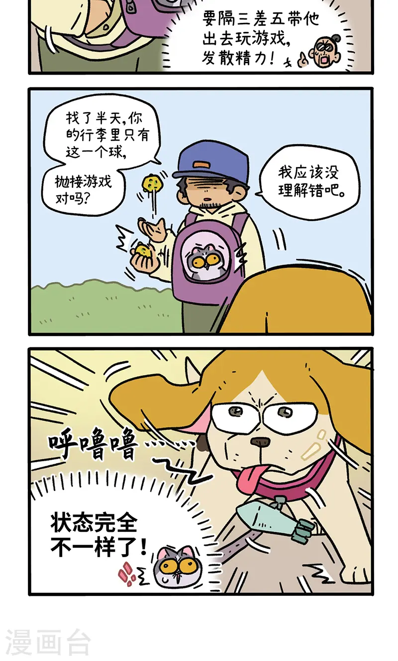 第129话2 关于猫狗是怎么相处的3