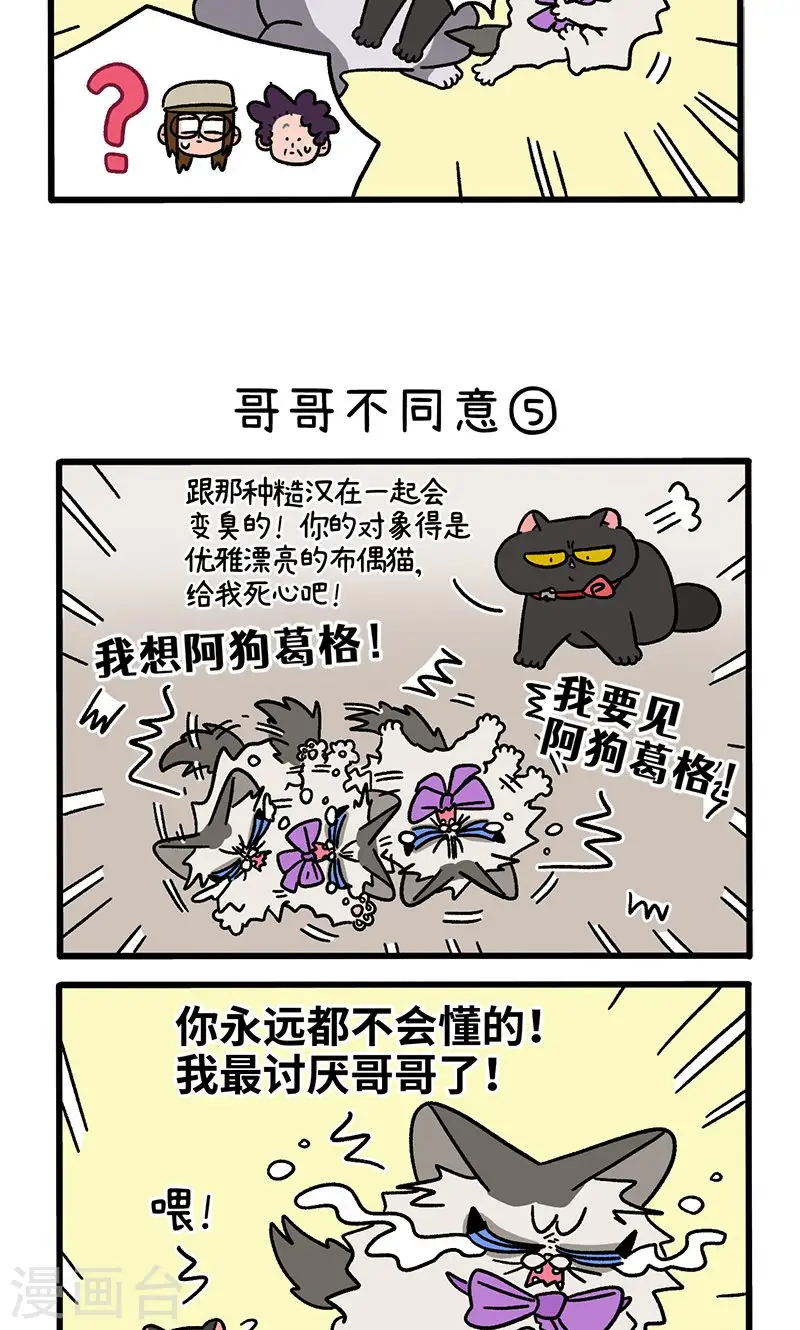 第101话2 哥哥不同意2