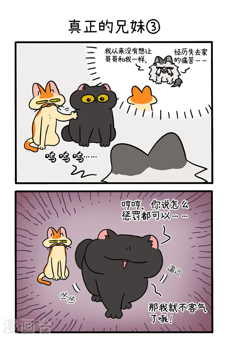 第49话1 真正的兄妹4
