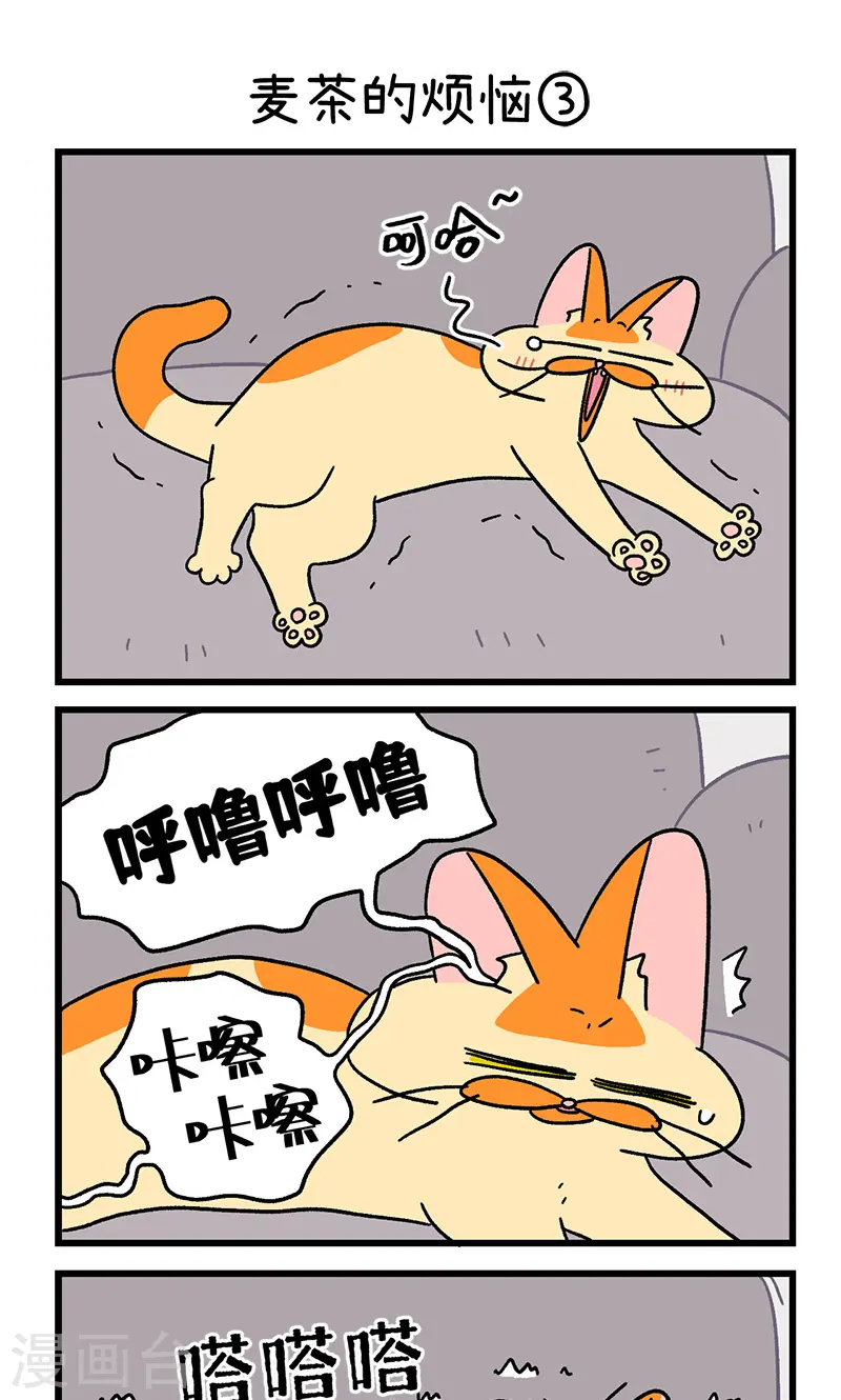 第91话 麦茶的烦恼4