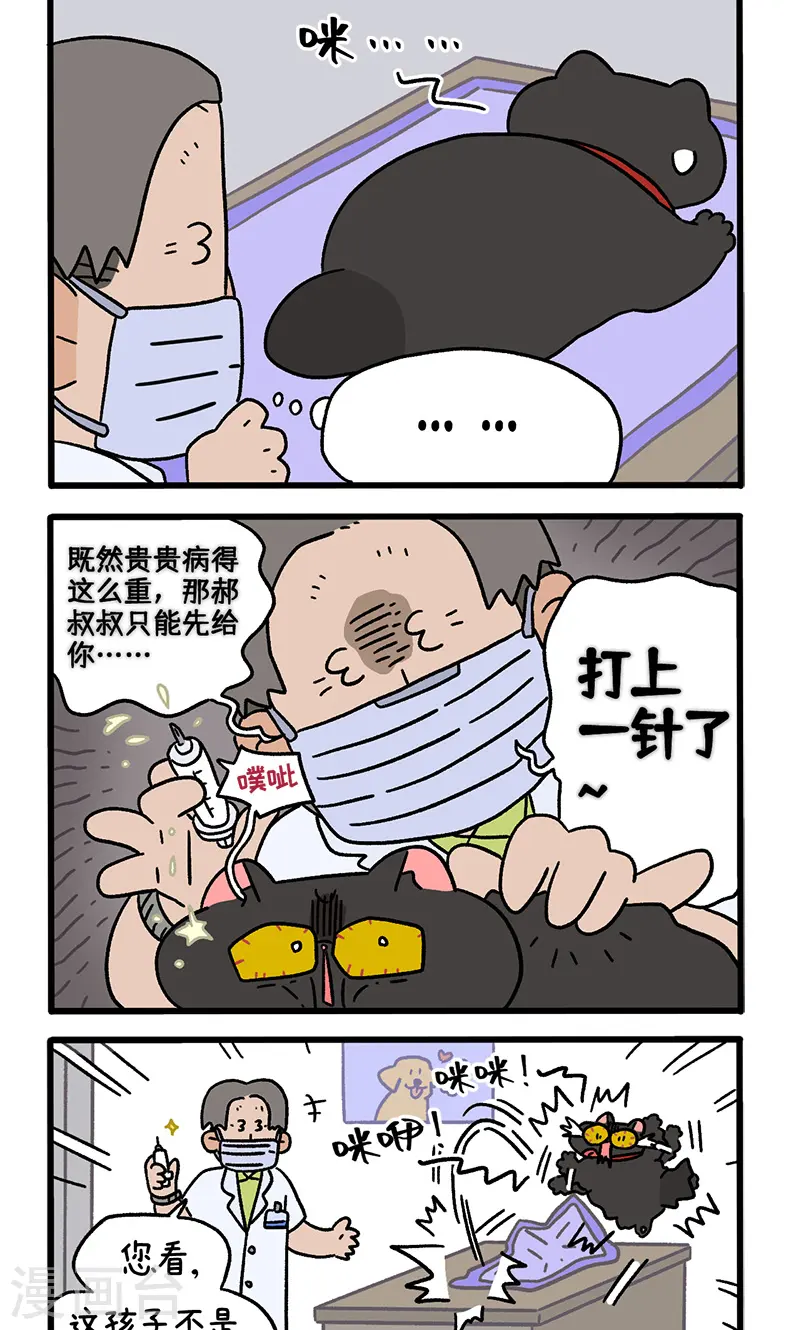 番外23下 富贵花开31