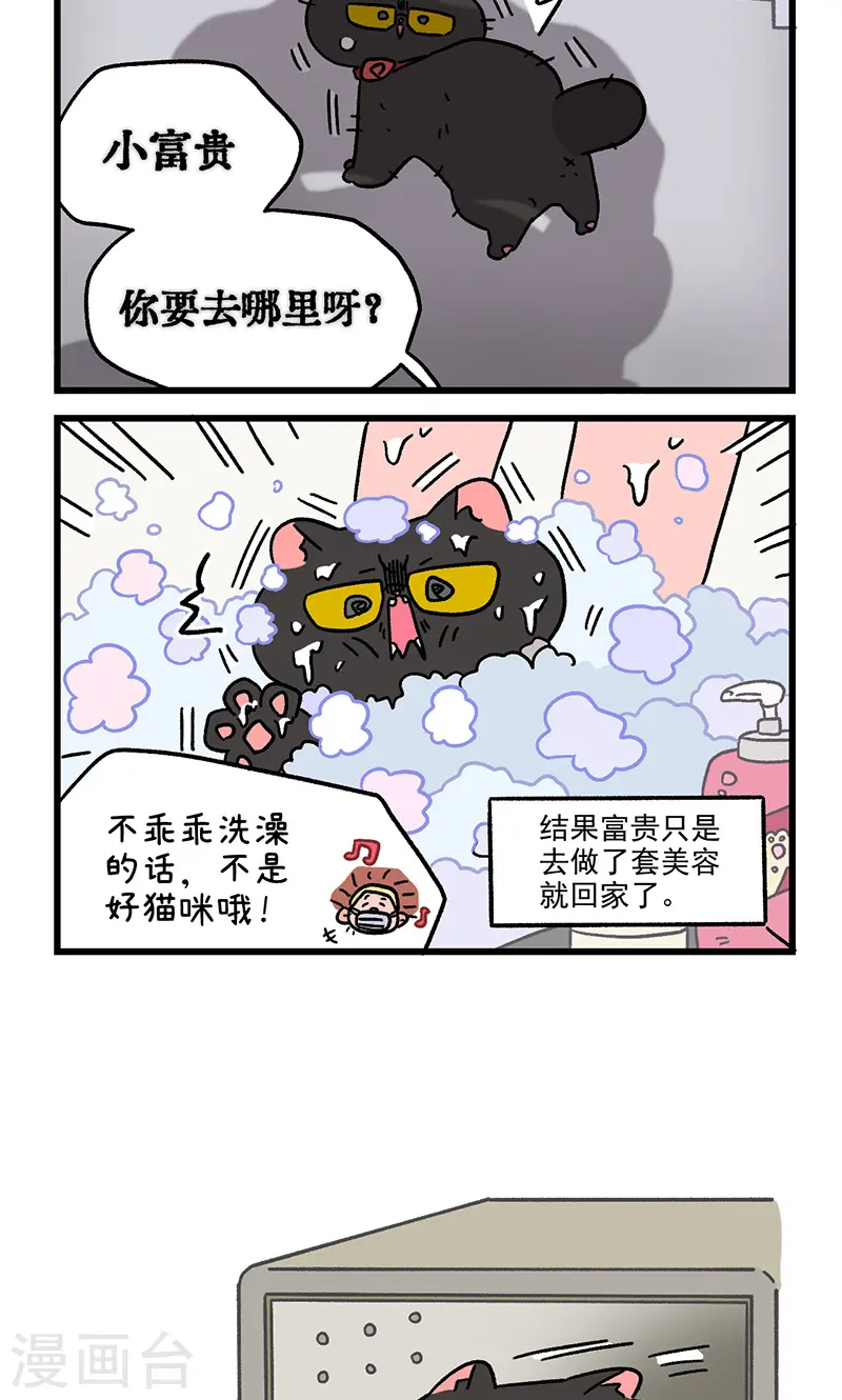 番外22下 富贵花开25