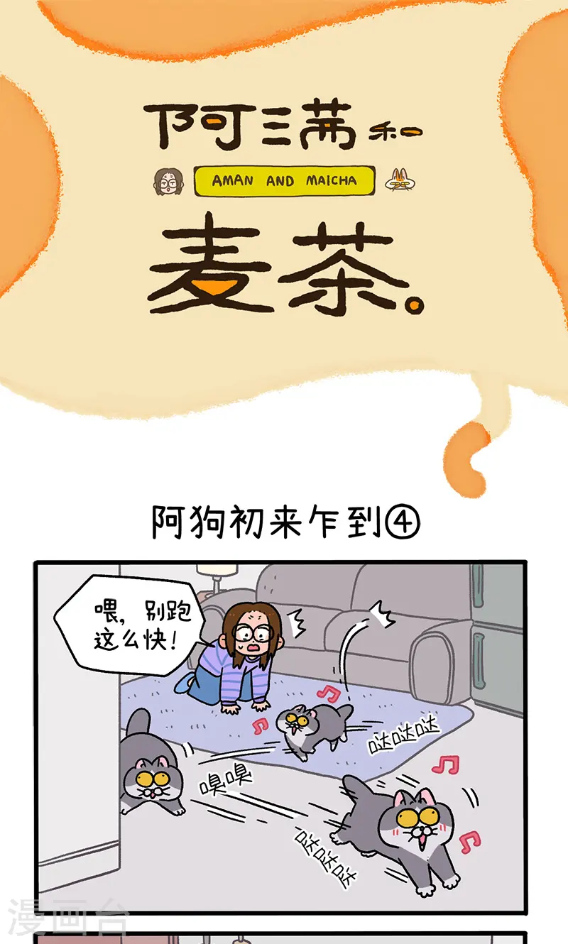 第89话2 阿狗初来乍到0