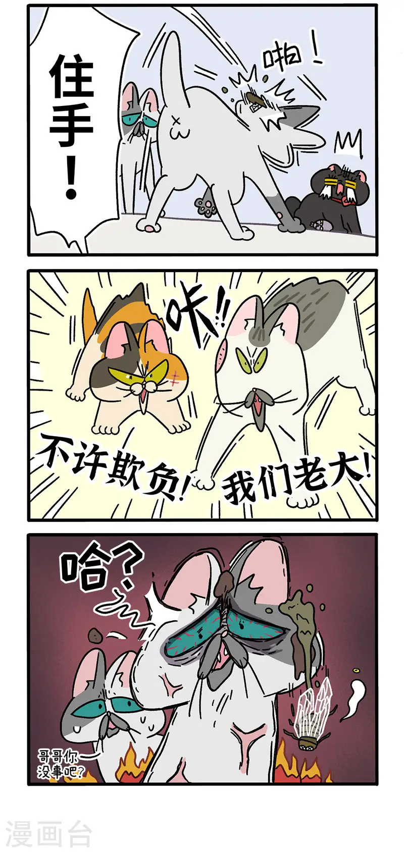第40话2 老大的危机1