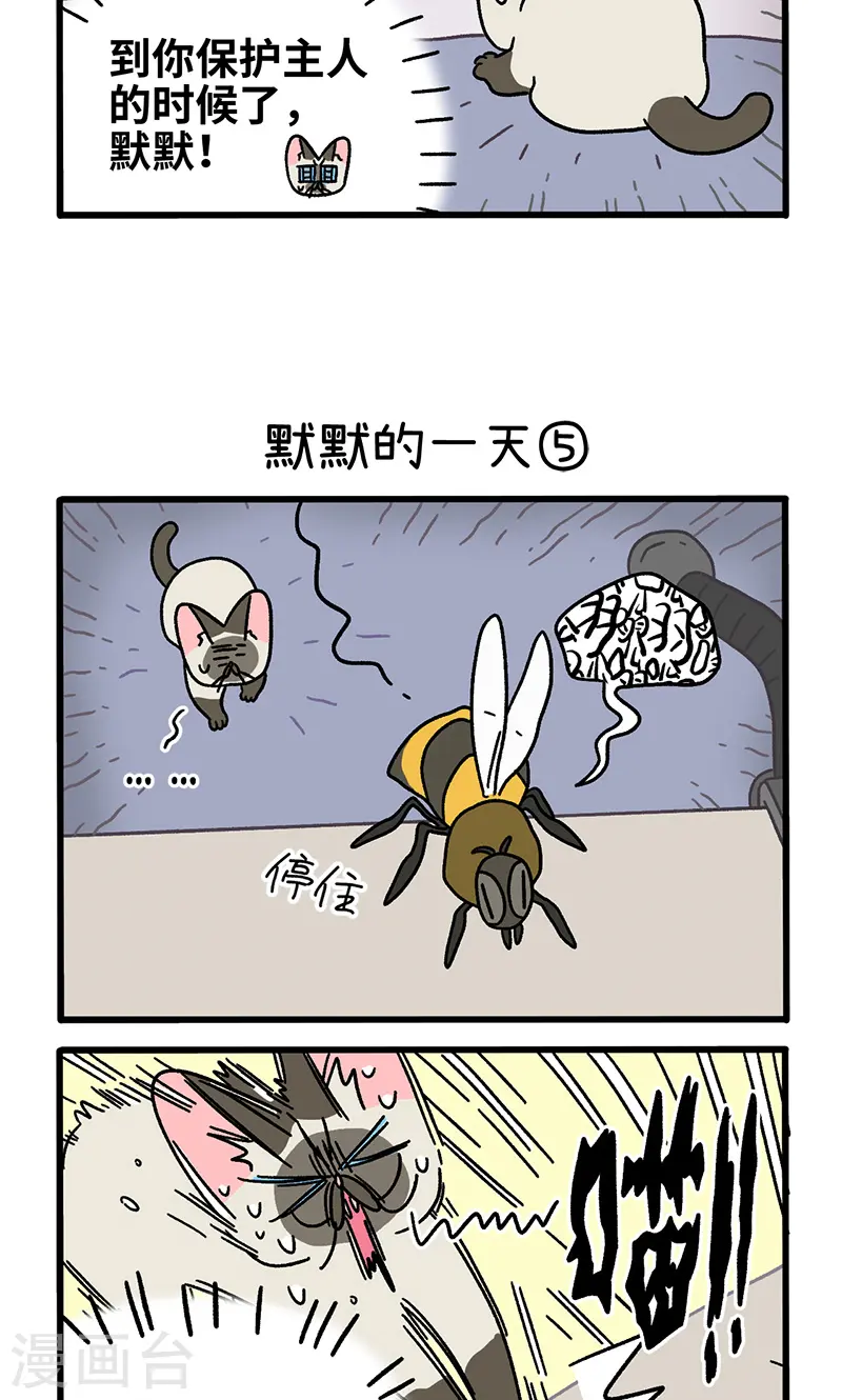 番外17下 默默的一天12