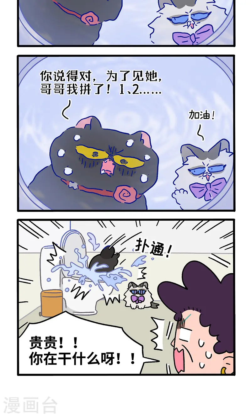 番外22下 富贵花开23