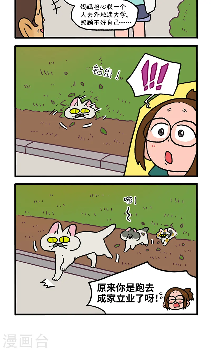 第140话2 第二只猫咪3
