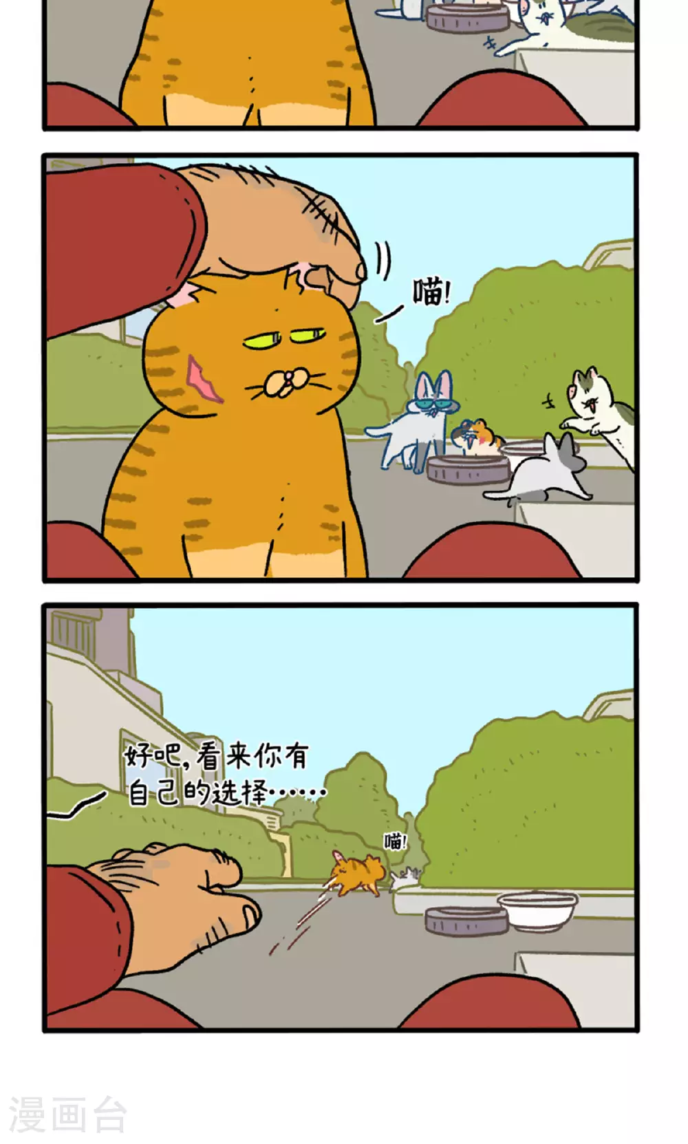 第158话3 猫晶晶的春日企划33