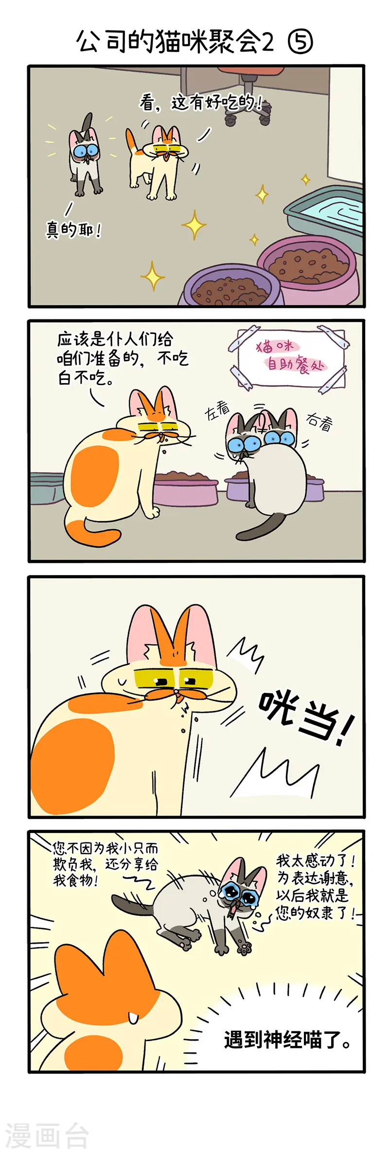 第66话2 公司的猫咪聚会22