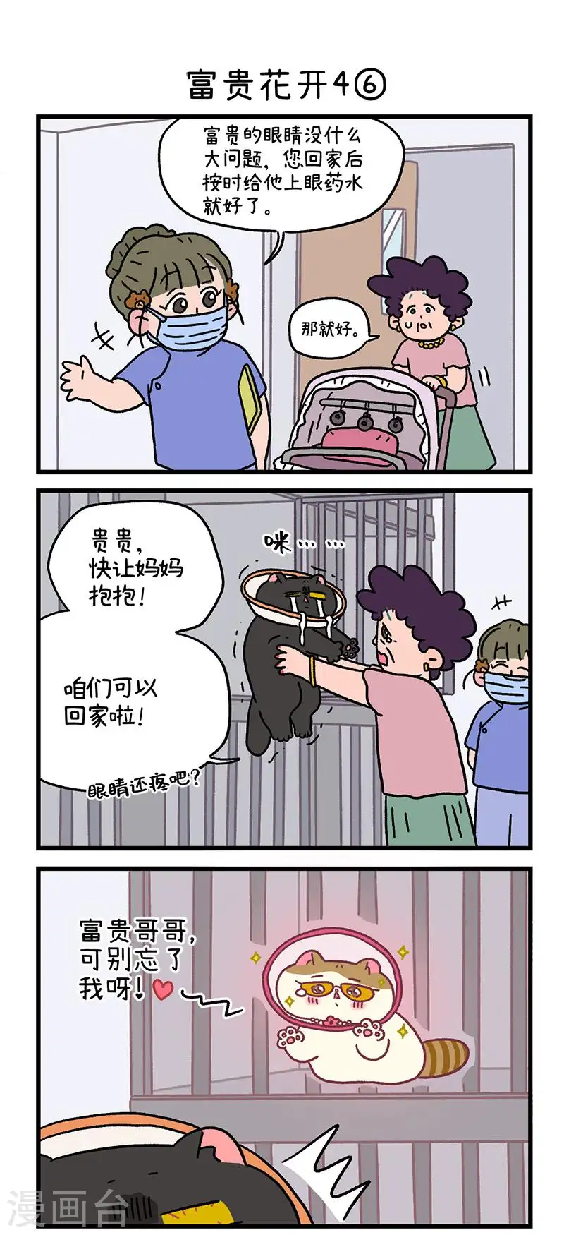 番外24下 富贵花开43