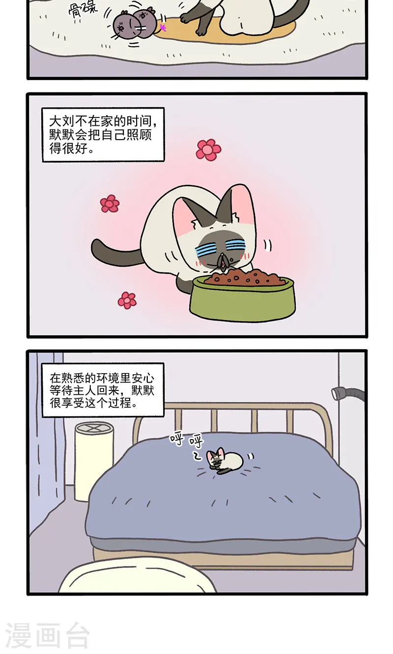 番外17上 默默的一天13