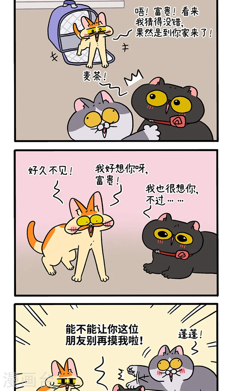 第98话2 当糙汉来敲门1