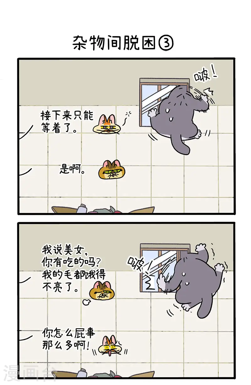 第73话1 杂物间脱困3