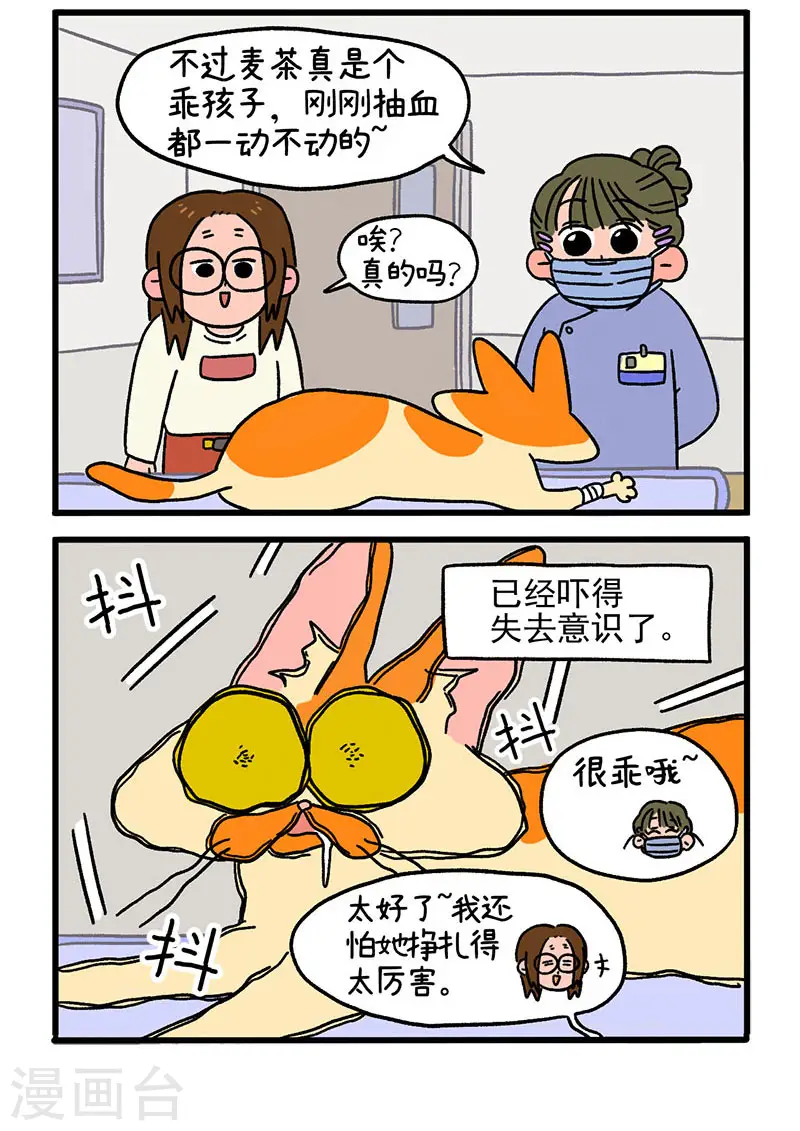 第13话2 要做手术了1