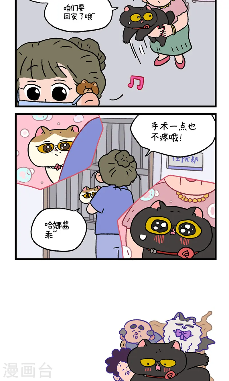 番外21下 富贵花开15
